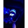 (CC-FA) Custom Accessories XT Onyx Fan with LED (12V) [25225]