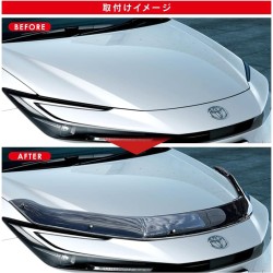 (C-BDBD) VALFEE TOYOTA PRIUS (60) Bug Deflector [bbzt070]