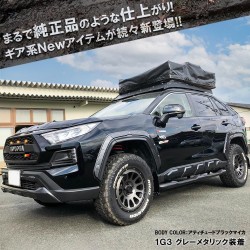 (C-BDBK) NEXUS Japan (ネクサスジャパン) TOYOTA 豐田 RAV4 (50) 側門保護裙腳 [mpsdpt056-1g3]