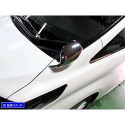 (CC-MIOT) BRIGHTZ (ブライツ) TOYOTA ALPHARD VELLFIRE (30) Fender Mirror Cover [26909]