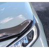 (C-BDBD) TOYOTA (トヨタ) RAV4 (50) Stone & Bug Deflector [‎au_oem-bonnet-s_rav4]