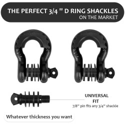 (CC-TH) AUTOBOTS D Ring Shackles 3/4", Black [NS8BK]