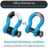 (CC-TH) AUTOBOTS D Ring Shackles 3/4", Light Blue [NS8LTBL]