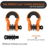 (CC-TH) AUTOBOTS D Ring Shackles 3/4", Orange [NS8OR]