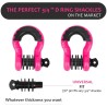 (CC-TH) AUTOBOTS D Ring Shackles 3/4", Pink [NS8PK]