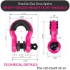 (CC-TH) AUTOBOTS D Ring Shackles 3/4", Pink [NS8PK]