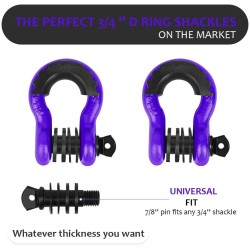 (CC-TH) AUTOBOTS D Ring Shackles 3/4", Purple [NS8PU]