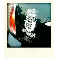 (CC-SK) Rat Fink Decal 貼紙 (L) [RD001WH]