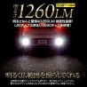 (CC-LTL) Yours (ユアーズ) TOYOTA PRIUS (60) LED Back Lamp Explosive Light [‎‎y501-053]