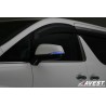 (CC-LTS) AVEST (アベスト) ‎TOYOTA 豐田 ALPHARD VELLFIRE (30 後期) LED 流動轉向燈 [AV-011]