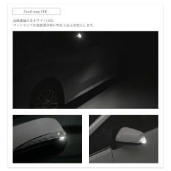 (CC-LTS) AVEST (アベスト) ‎TOYOTA 豐田 ALPHARD VELLFIRE (30 後期) LED 流動轉向燈 [AV-011]