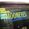 (CC-LP) California “MOONEYES” 車牌裝飾 \ [MG081BK]