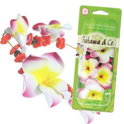 (CC-AF) hama & Co, Waikiki Wild Hibiscus Air Freshener [E300859800]