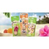 (CC-AF) Bahama & Co, SCENTED HULA GIRL (PINA COLADA) Air Freshener [E300860500]