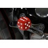 (CC-SS) Dice Shift Knob [AA037]