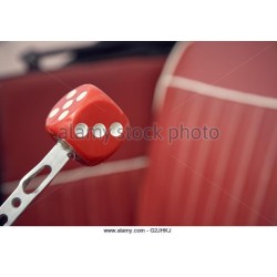 (CC-SS) Dice Shift Knob [AA037]