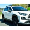 (C-BDDV)  OX (バイザー) TOYOTA 豐田 RAV4 (50) SPORTY CUT 雨檔