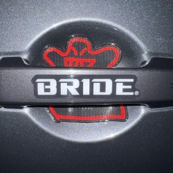 (CC-MP) Bride (ブリッド) Door Handle Protector [HSDHP1]