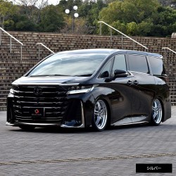 (C-BDTE) SHARE×STYLE TOYOTA ALPHARD VELLFIRE (40) Exclusive Window Molds, 4p [to-alvl07-me0205-si]