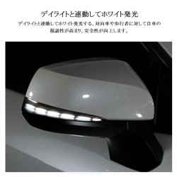 (CC-LTS) field Total Produce TOYOTA 豐田 LED 轉向燈 [FLD1755]