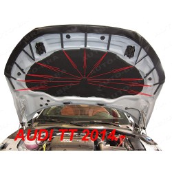 (C-BDHB) Auto-Bra AUDI 奥迪 TT 頭冚保護墊 [AB3-00265]