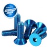 (CC-SWOT) NRG Innovations Steering Wheels Screw [SWS-100]