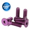 (CC-SWOT) NRG Innovations Steering Wheels Screw [SWS-100]