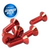 (CC-SWOT) NRG Innovations Steering Wheels Screw [SWS-100]